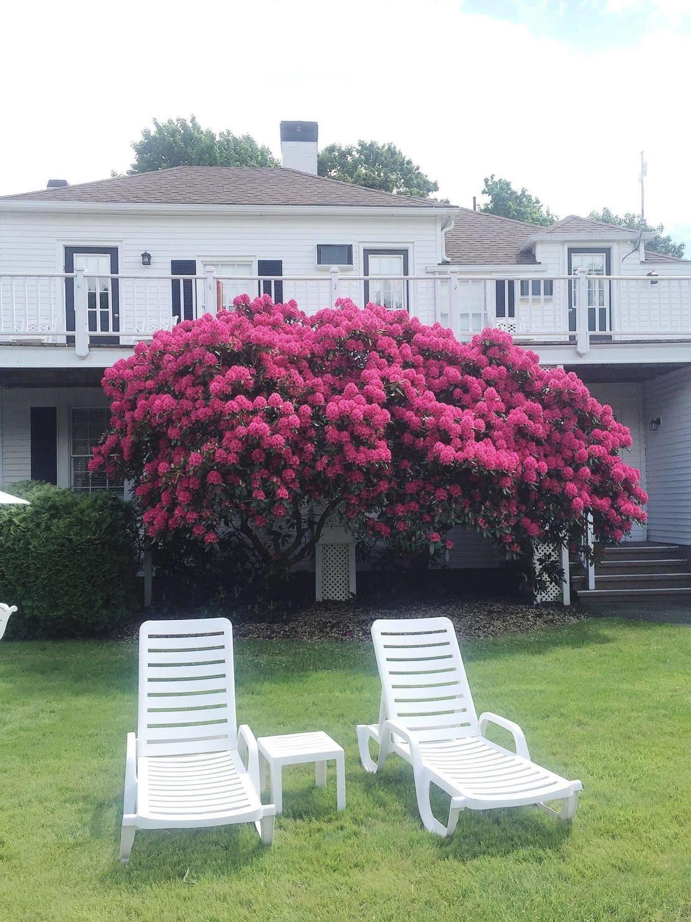 Shoreway Acres Inn Falmouth Exterior foto
